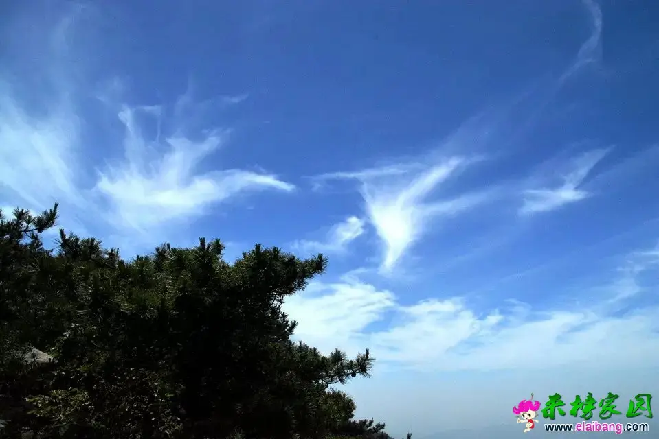 23.webp