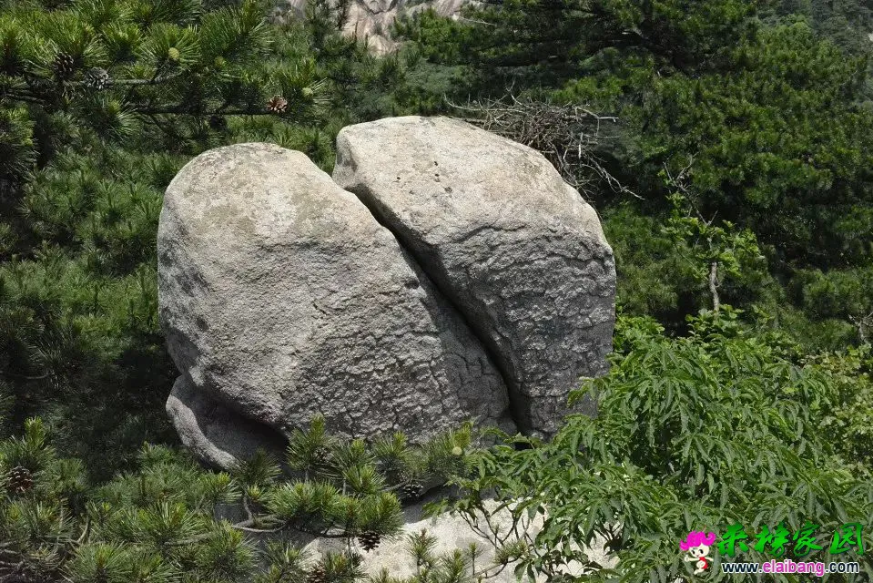 27.webp