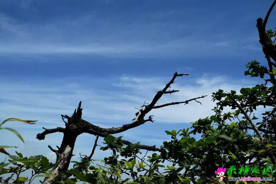 32.webp