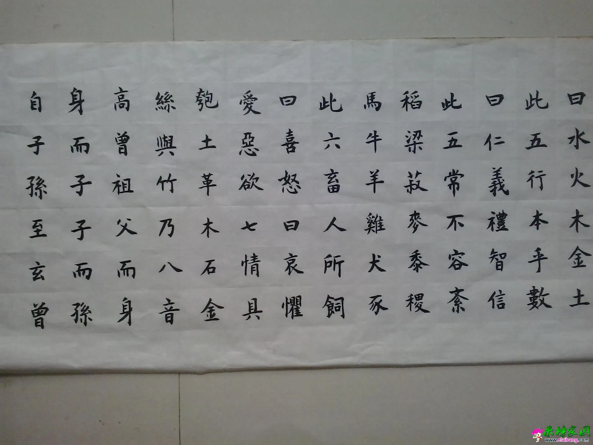 20150610_074432.webp