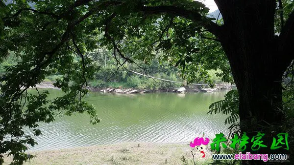 20150606_161501.webp
