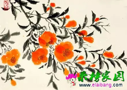 640.webp (2).webp