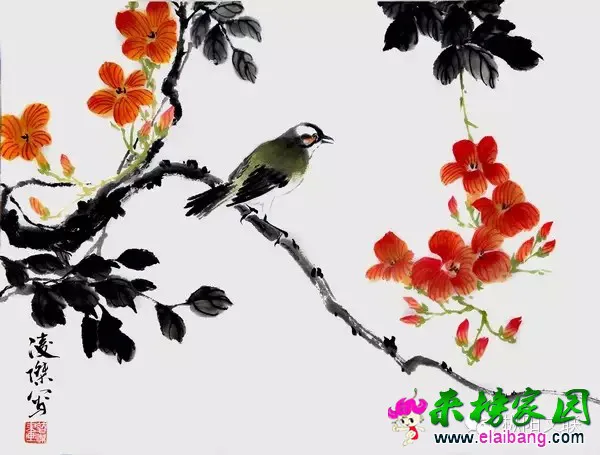 640.webp (11).webp