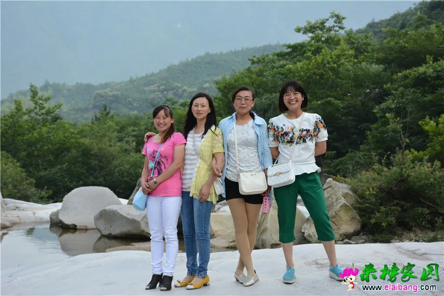 DSC_2711.webp