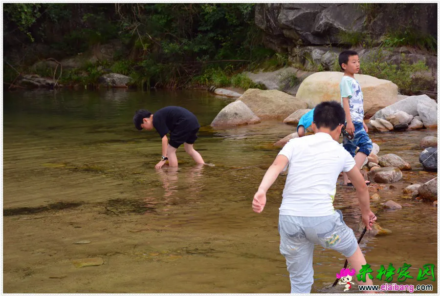 DSC_2642.webp