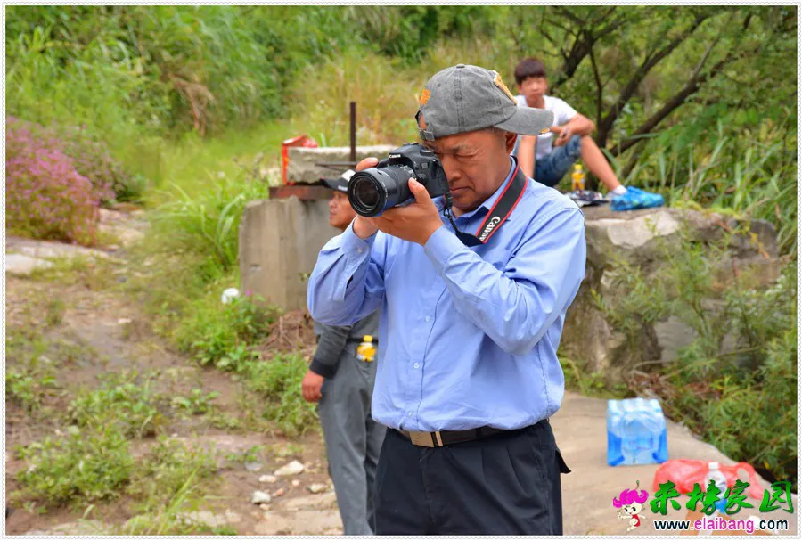 DSC_2585.webp