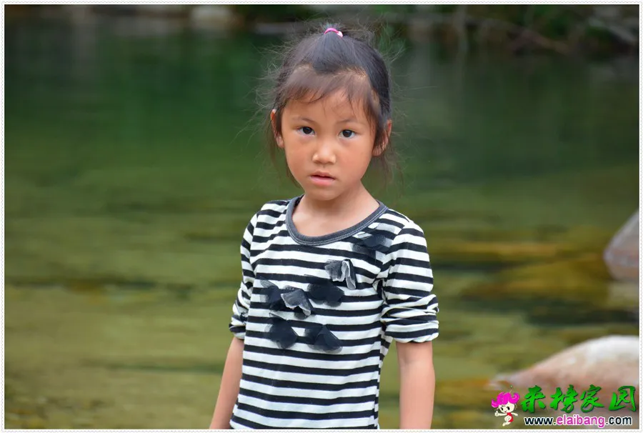 DSC_2624.webp