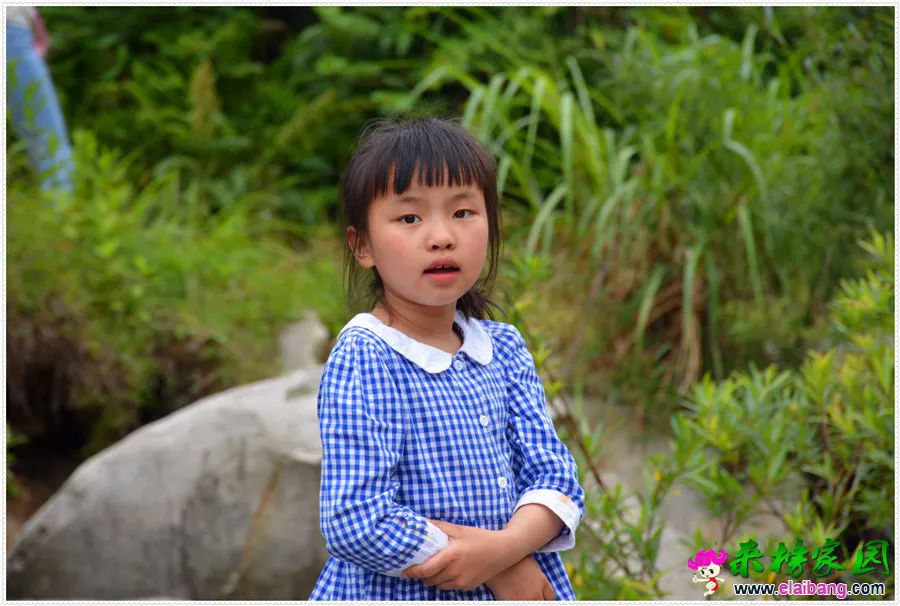 DSC_2678.webp
