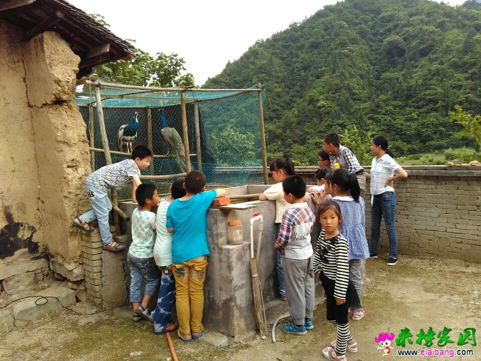 QQ图片201506151255442.webp