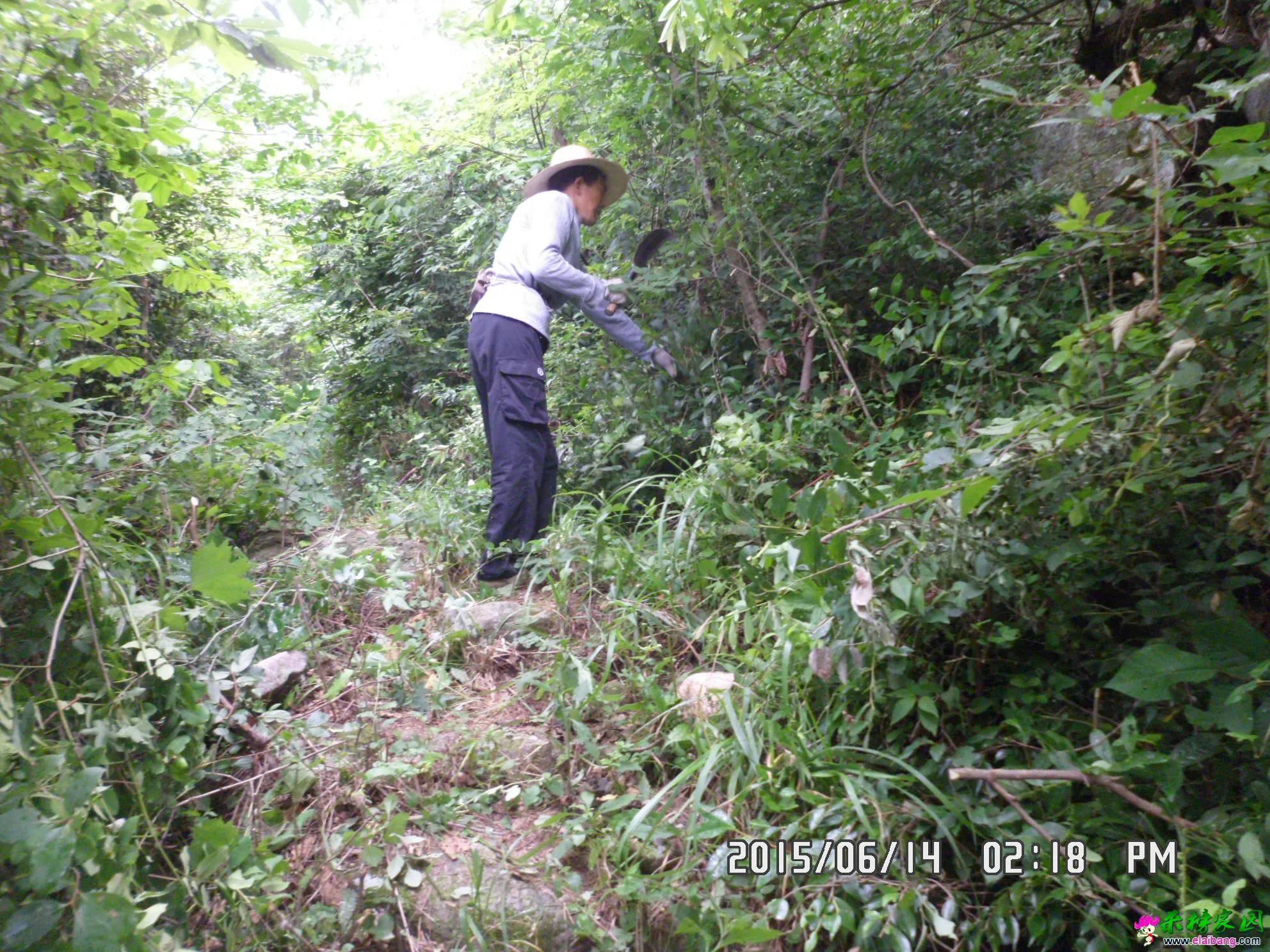 SAM_6042.webp