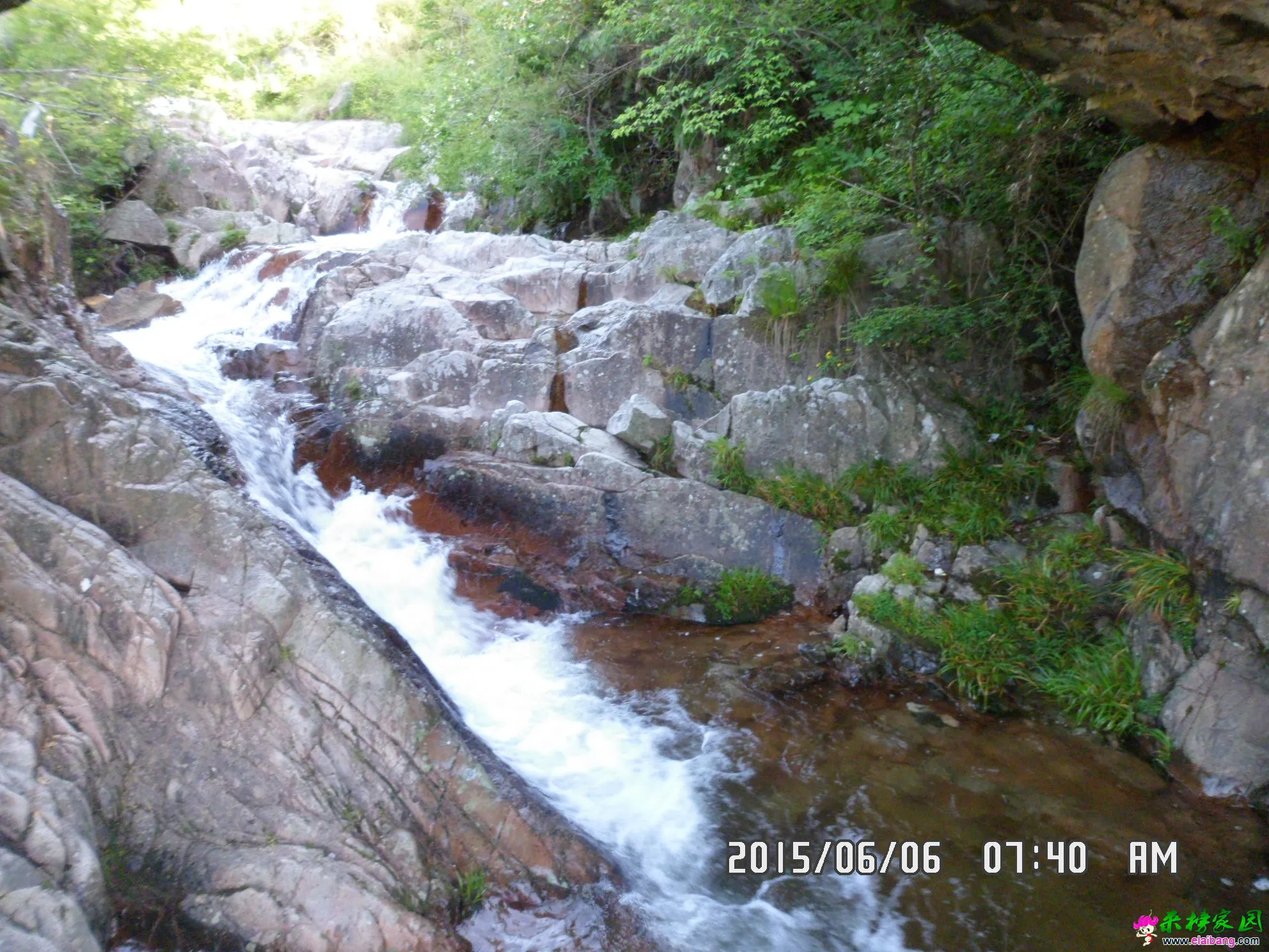 SAM_5725.webp