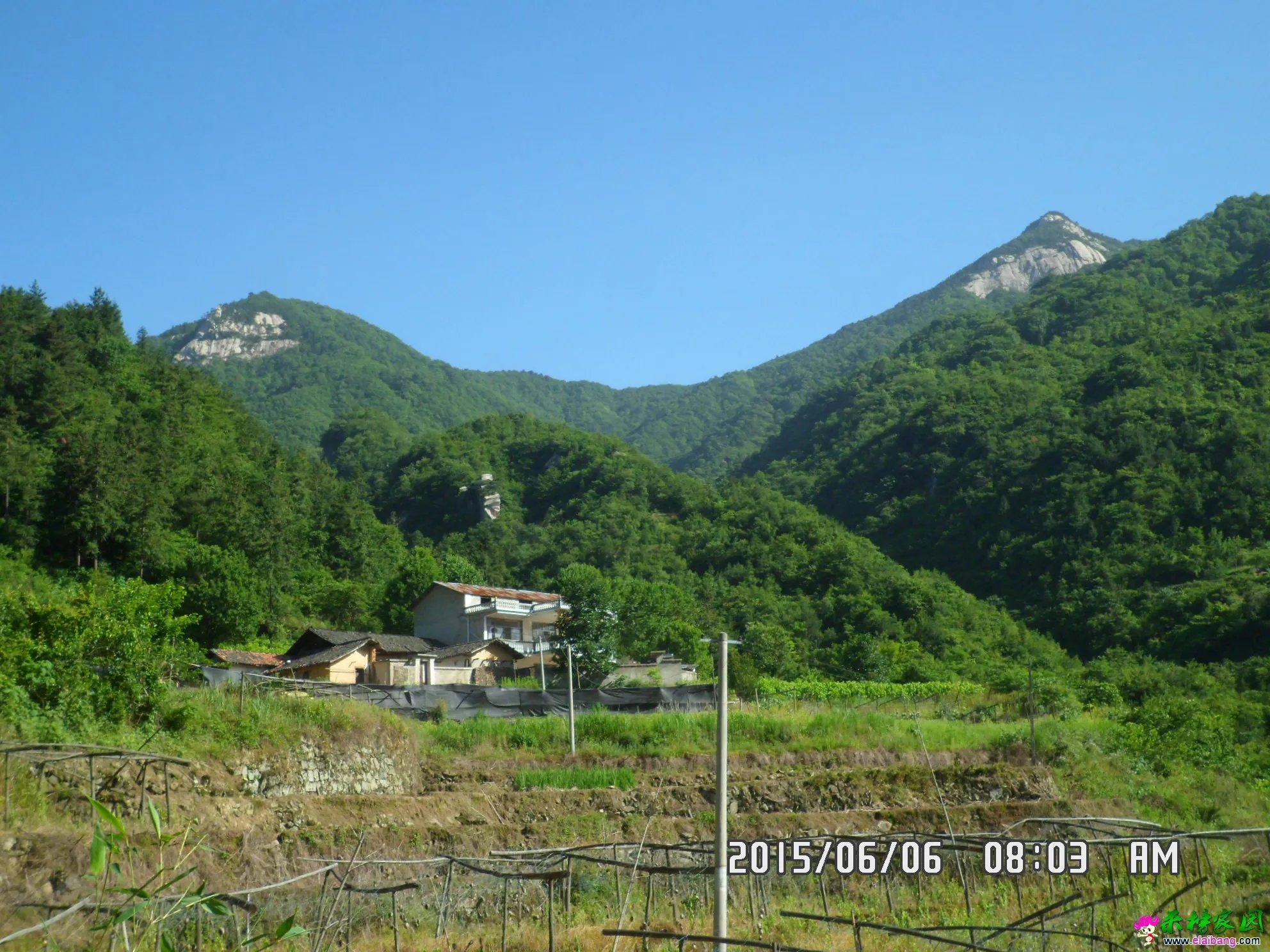 SAM_5728.webp