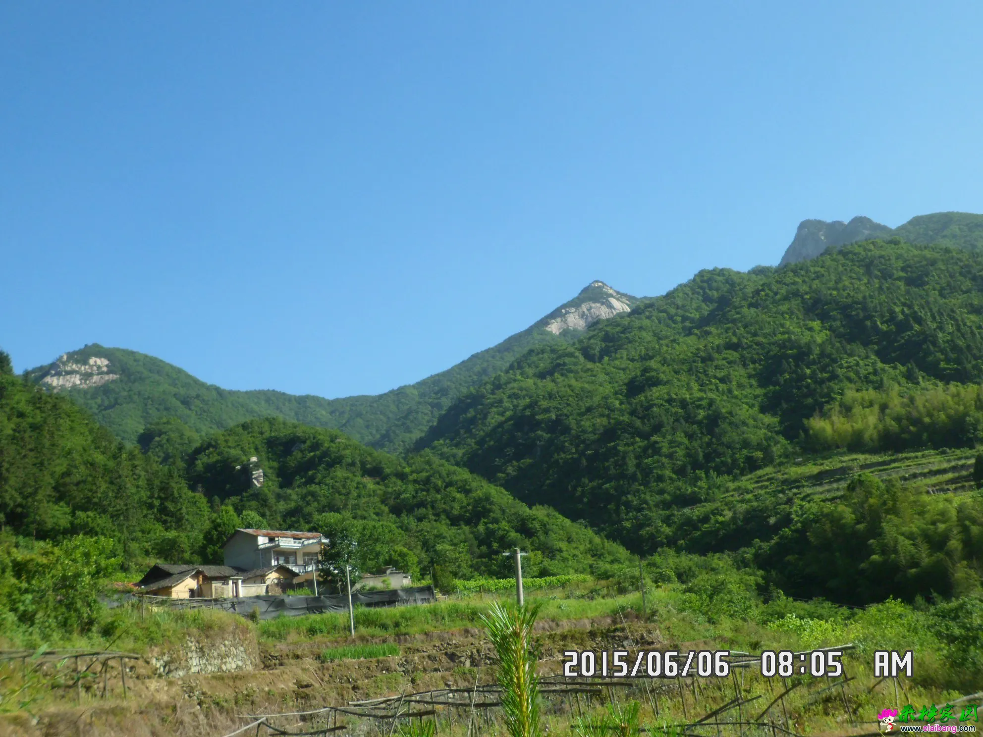SAM_5731.webp