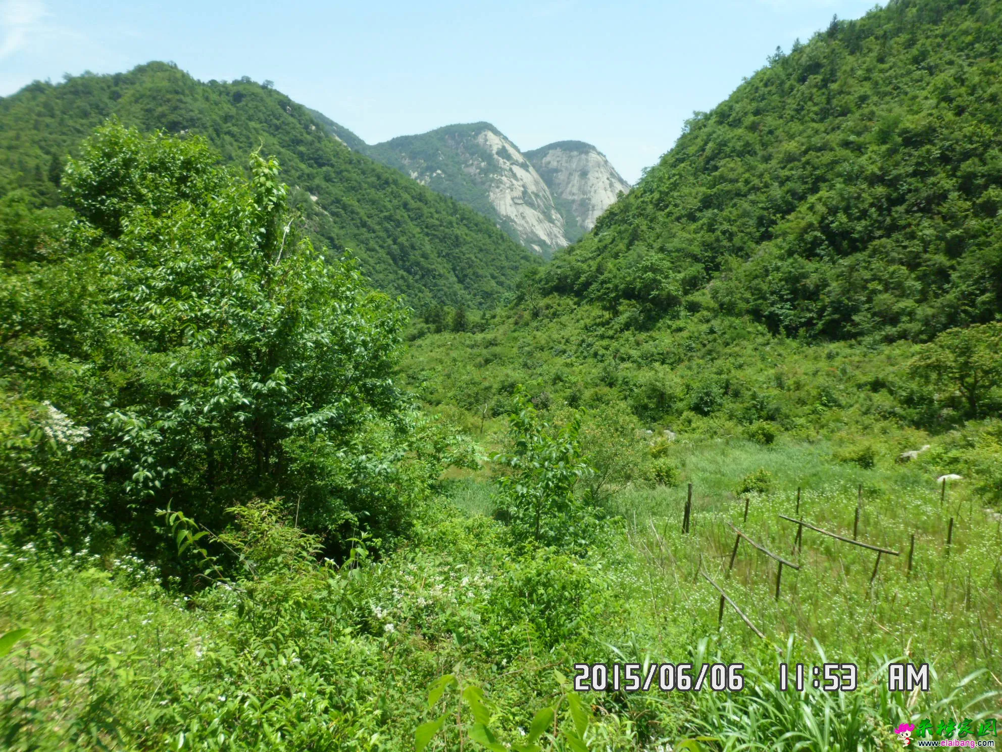 SAM_5823.webp