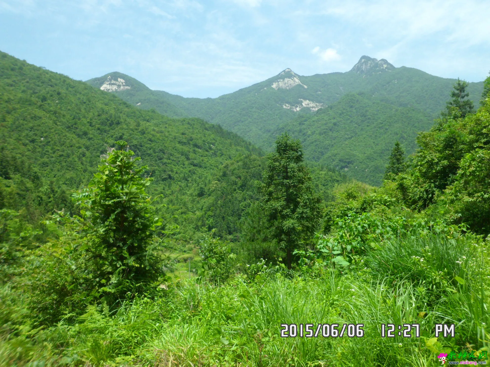 SAM_5844.webp
