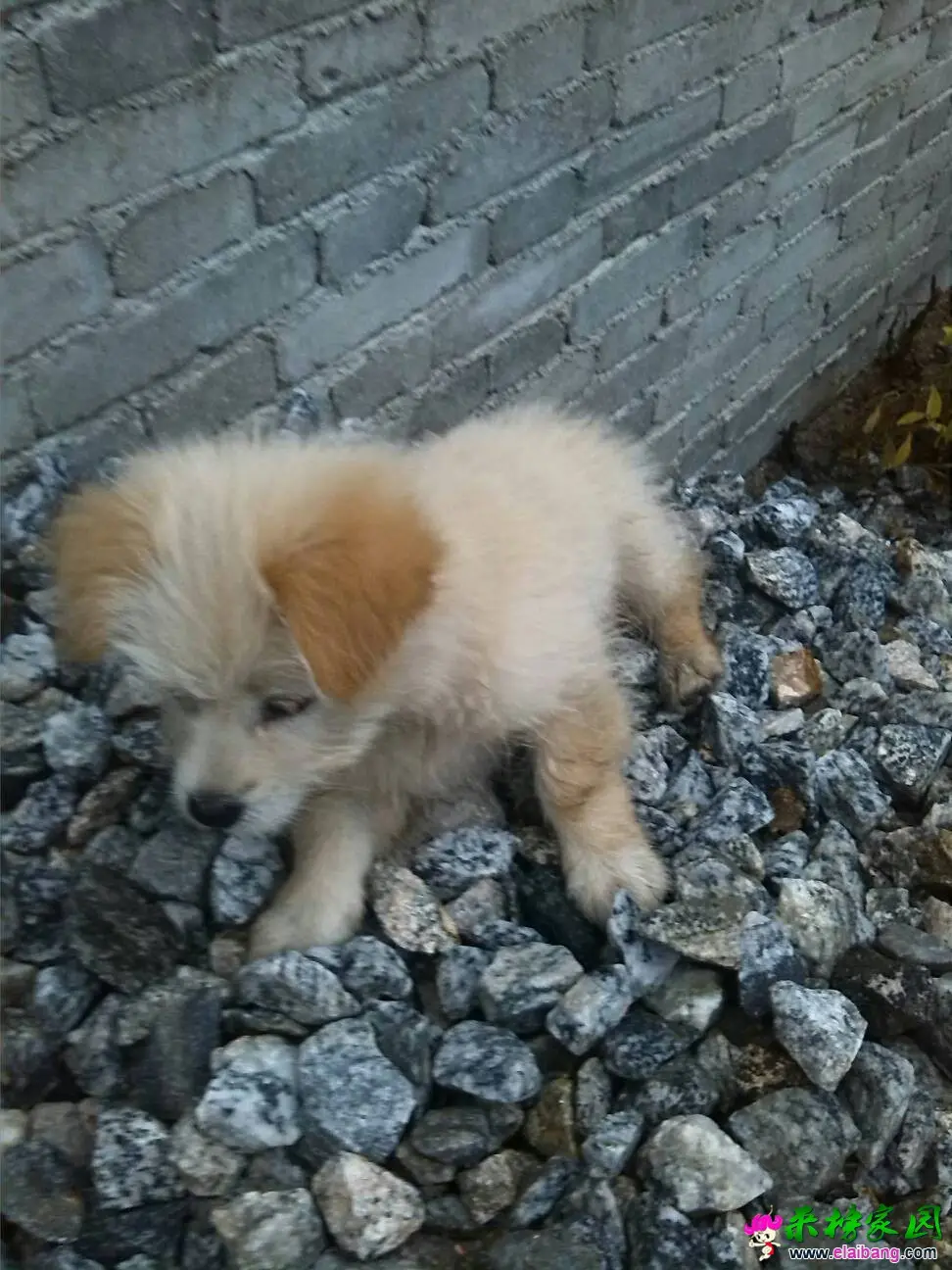 182050ne33fxybfqxqevuv.webp