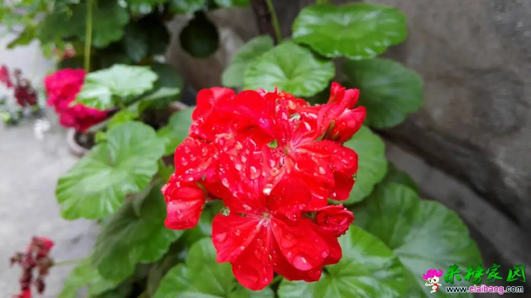 191719mnmwz706547m0cr6.webp