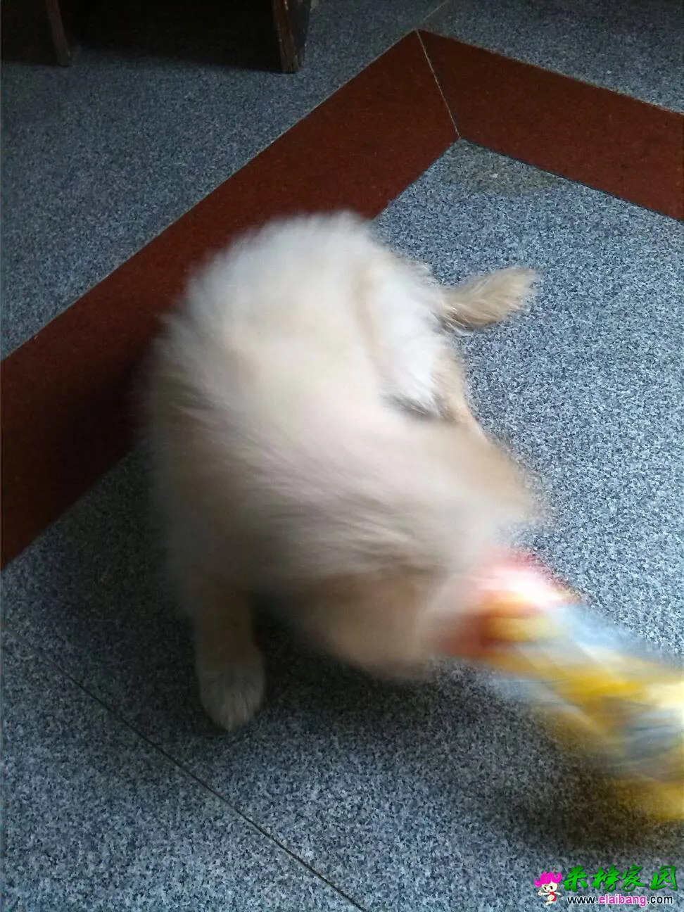 084157blhn9nr9fw3lrngz.webp