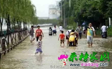 QQ图片20150617090406.webp