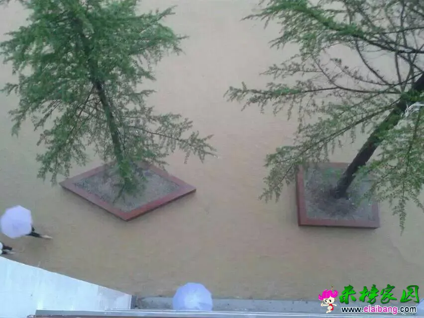 120846sf2zcazua22v31as.webp