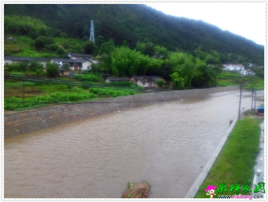 QQ图片20150617122312.webp