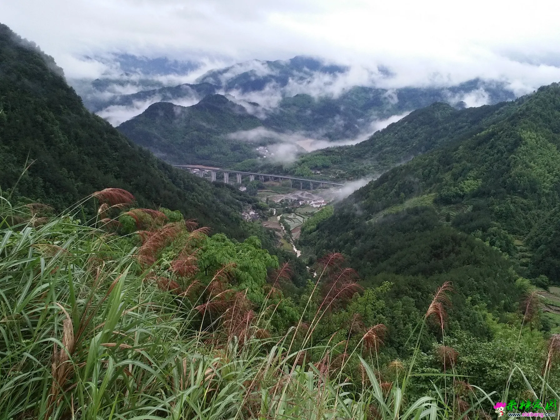 IMG_20150617_125057_调整大小.webp