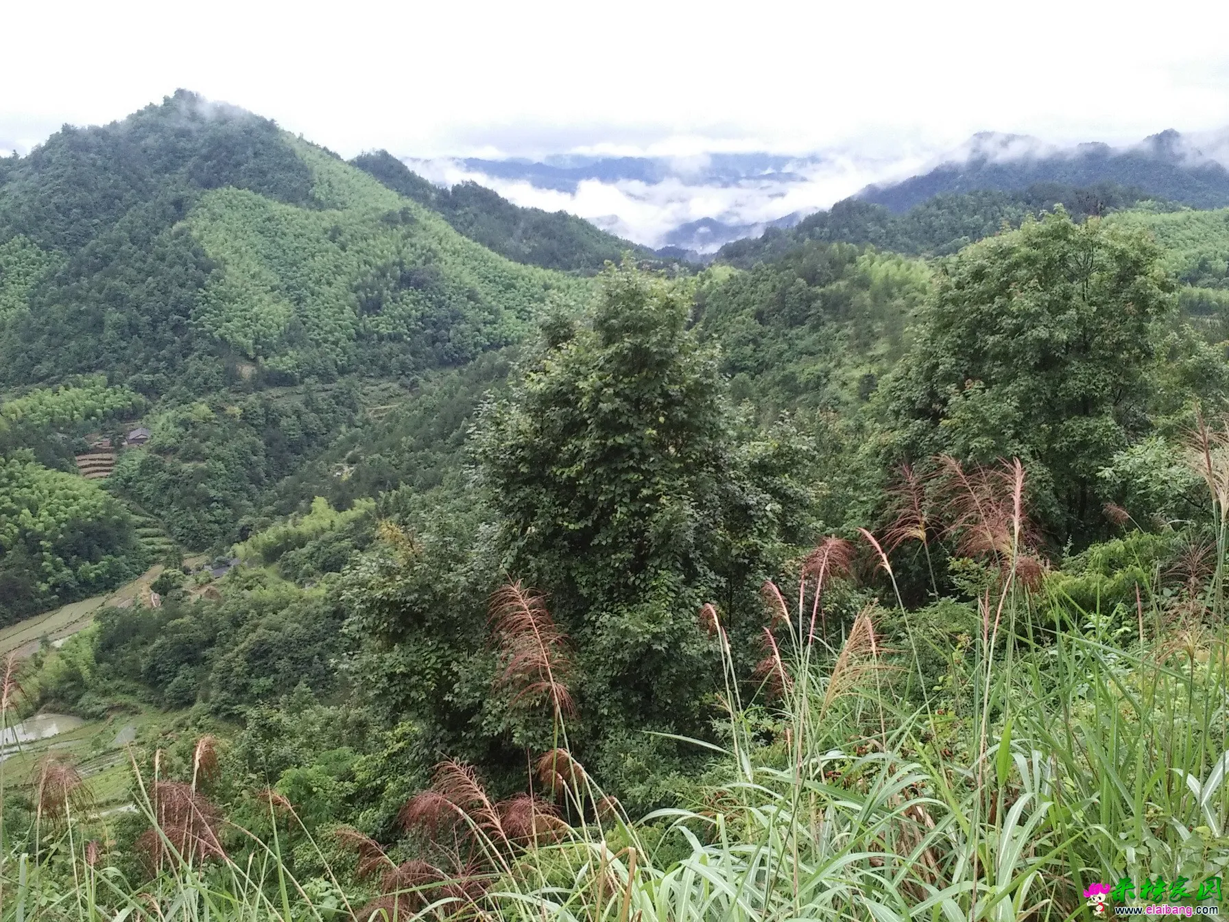 IMG_20150617_125105_调整大小.webp