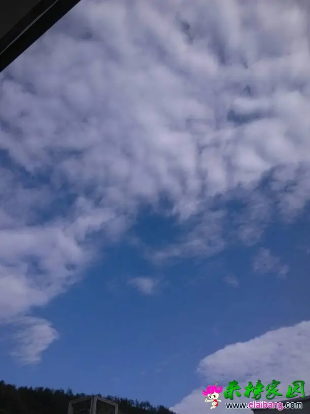 090420v6nxys67xsxy3s24.webp