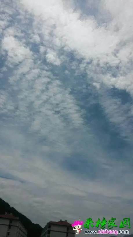 123704tffh5xfgh8fgfef3.webp