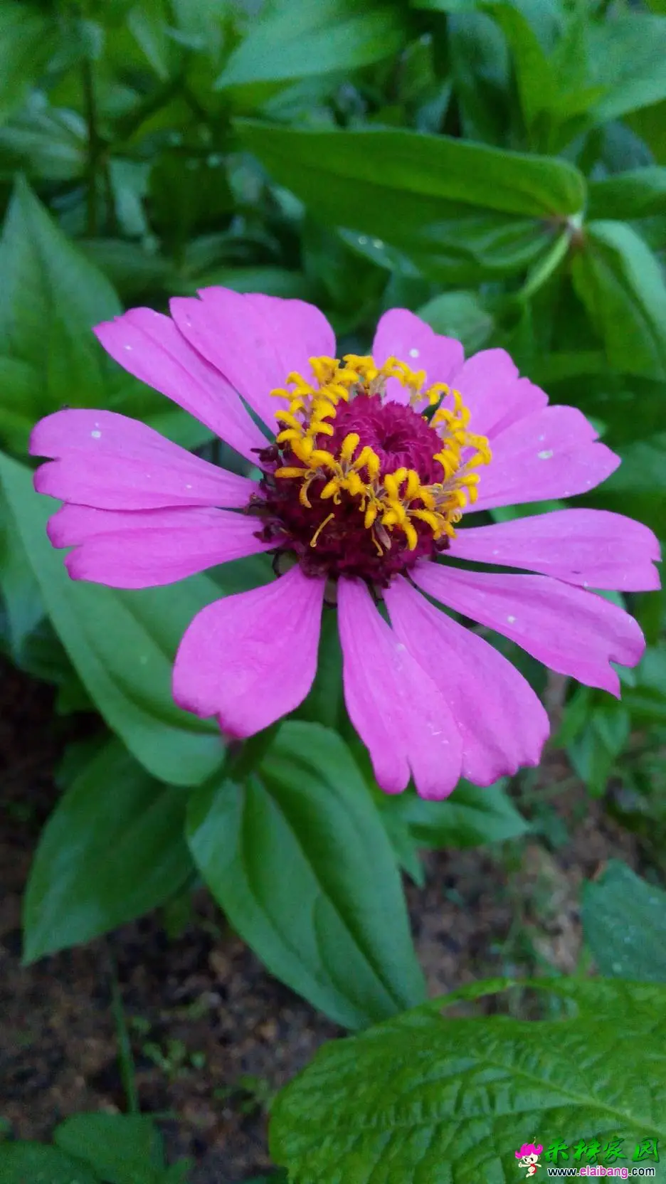 124540kdifrmumentnrnxq.webp