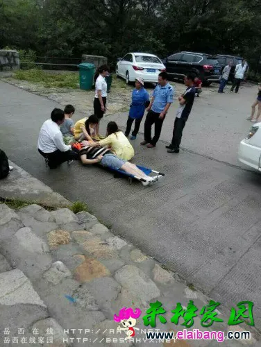 172a90cbd39e15bb.webp