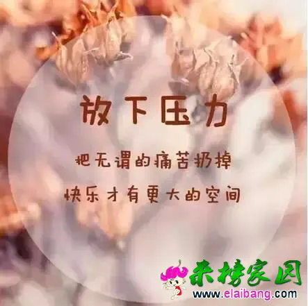 QQ图片2015062412391922.webp