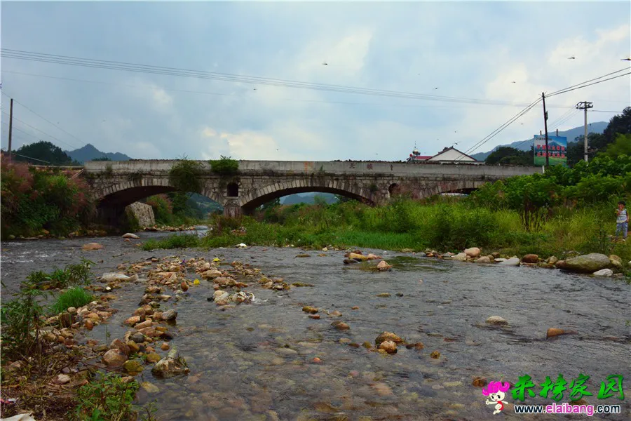 DSC_3195.webp