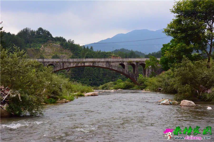 DSC_3186.webp