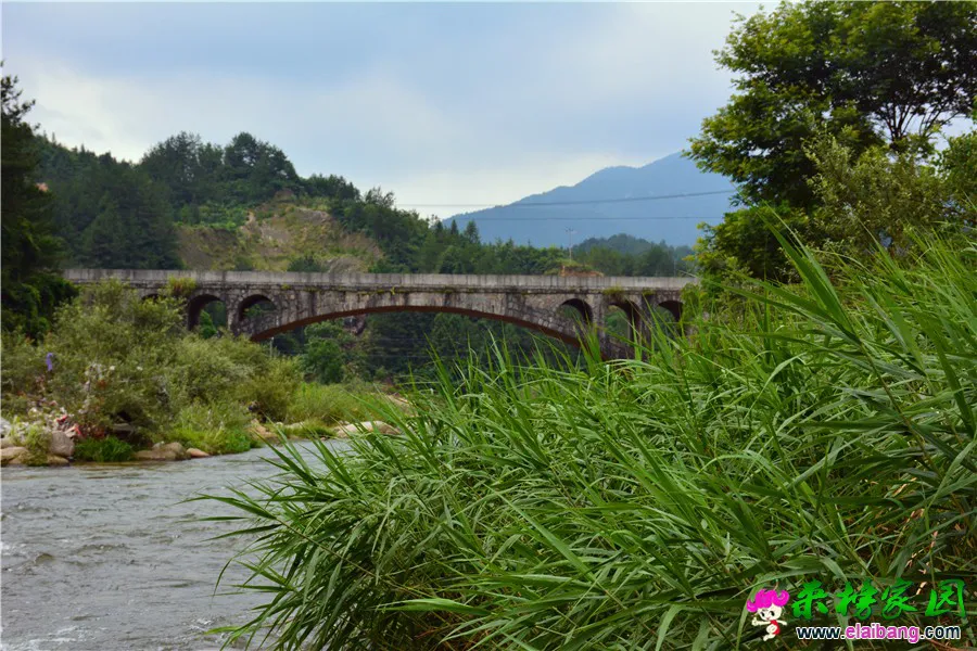 DSC_3184.webp
