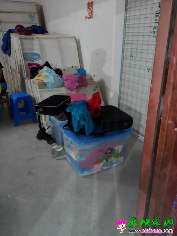 211057e2ijc2ewecy5y3kk.webp