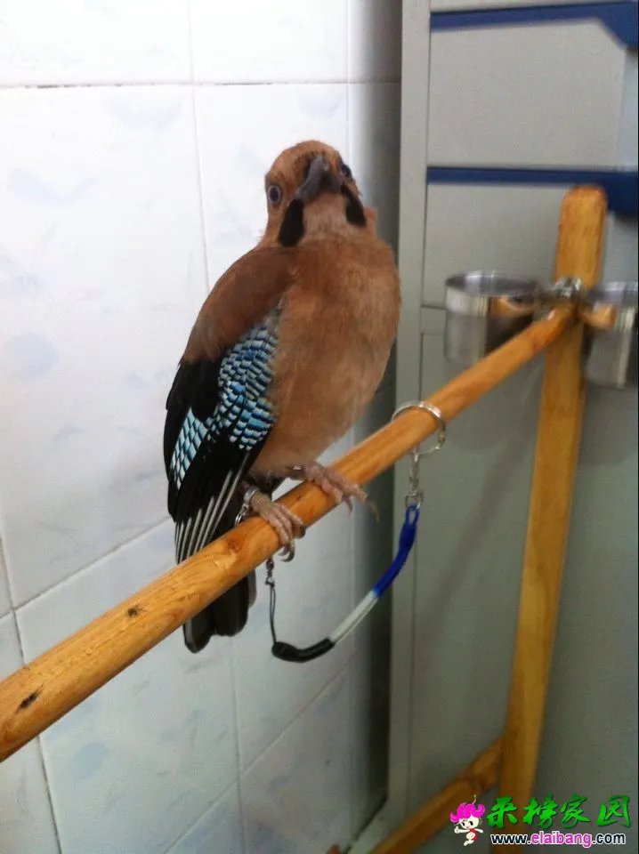 QQ图片20150625094021.webp