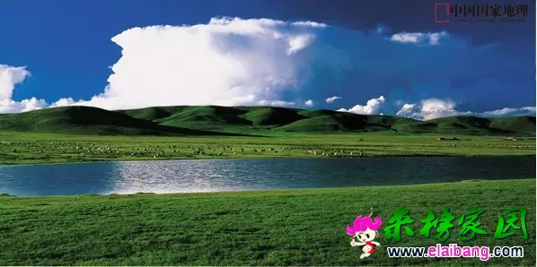 0?wx_fmt=jpeg