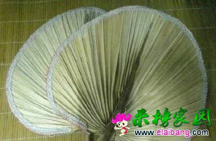 110405pfzm5w0dhymy0hyl.webp