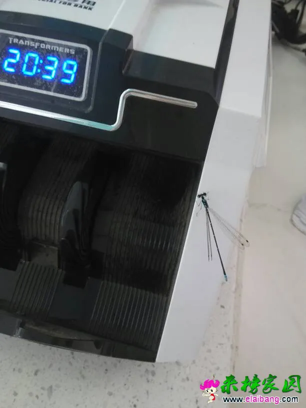 125654xrwet3e1t11fw6xn.webp