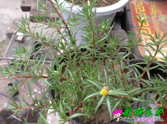 220430xqih7pfpuis4f4oq.webp