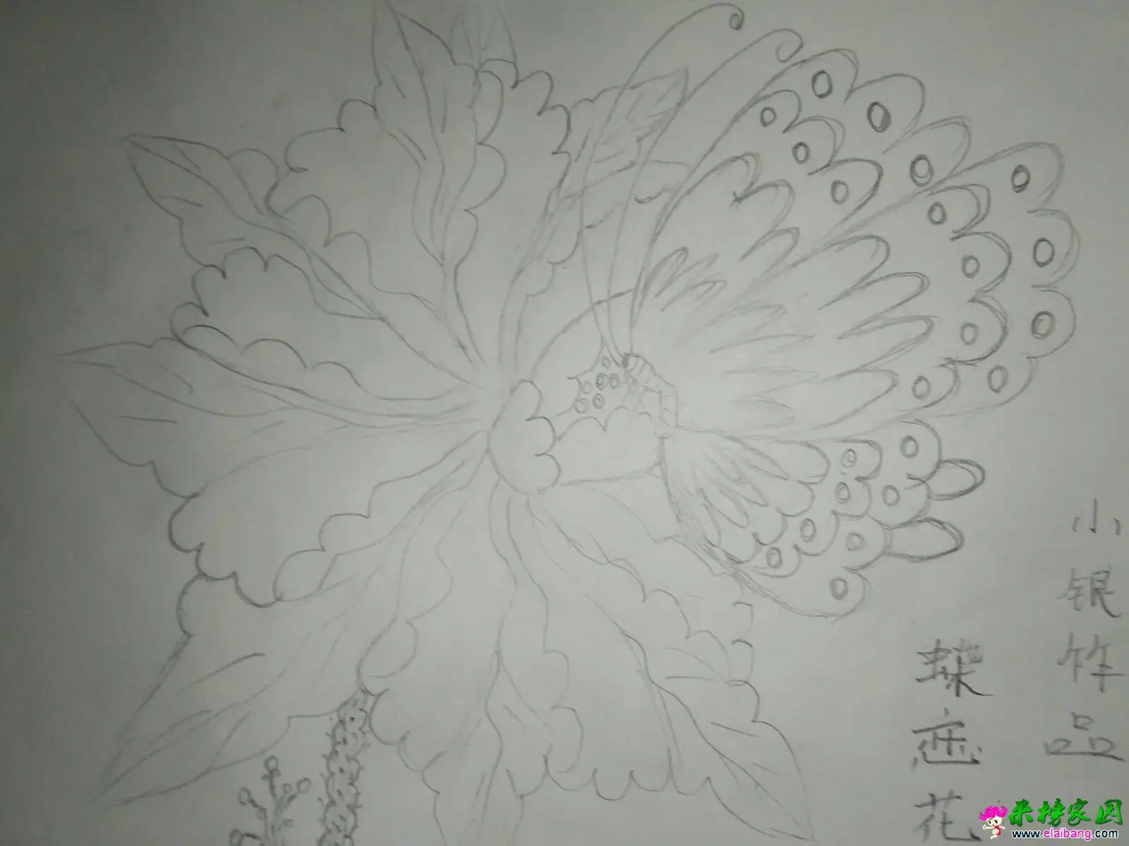122759trdlu633gld4k66l.webp