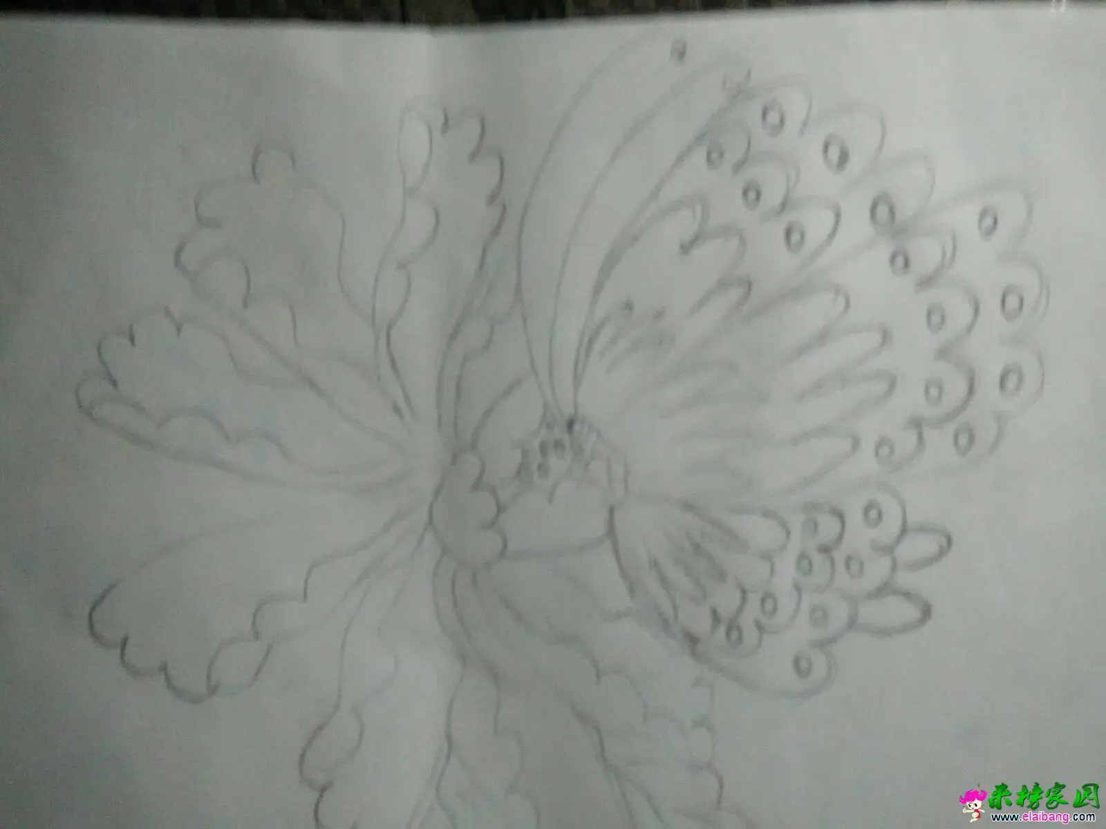 122801rj9j5zgzq46jd9j9.webp