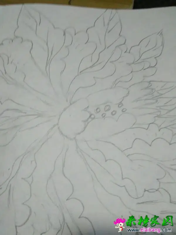 122804z8mg0827zqoomhv9.webp