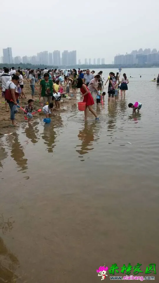 QQ图片201507061640072.webp