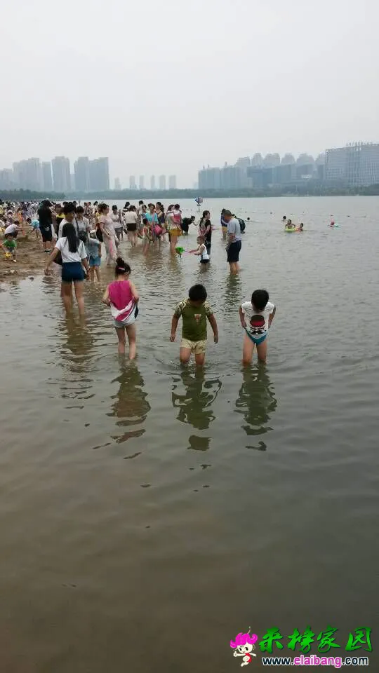 QQ图片201507061640203.webp