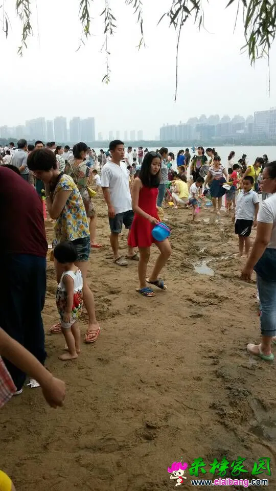 QQ图片201507061640284.webp