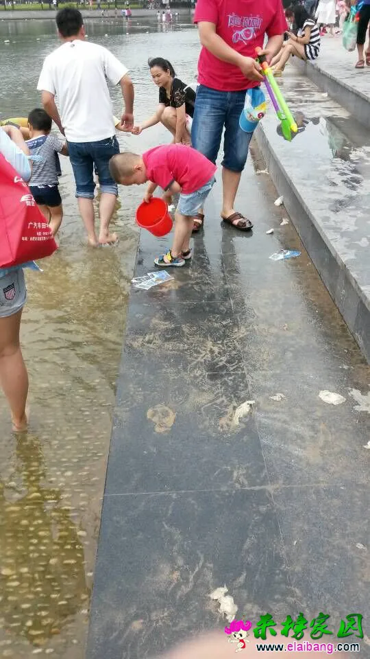 QQ图片201507061640355.webp
