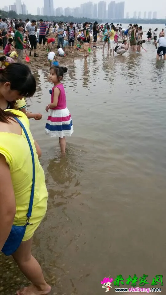 QQ图片201507061640436.webp