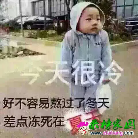 164830l8ofoboq08llqbv4.webp